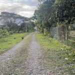 Pejabat Pergigian Kawasan Kota Belud
