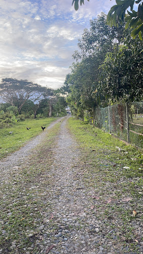 Pejabat Pergigian Kawasan Kota Belud